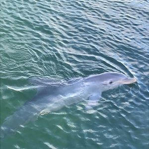 Meet your Posher, Candace